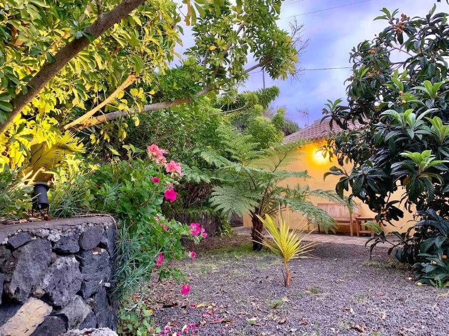 Willa Rustic House La Montana Breña Baja Zewnętrze zdjęcie