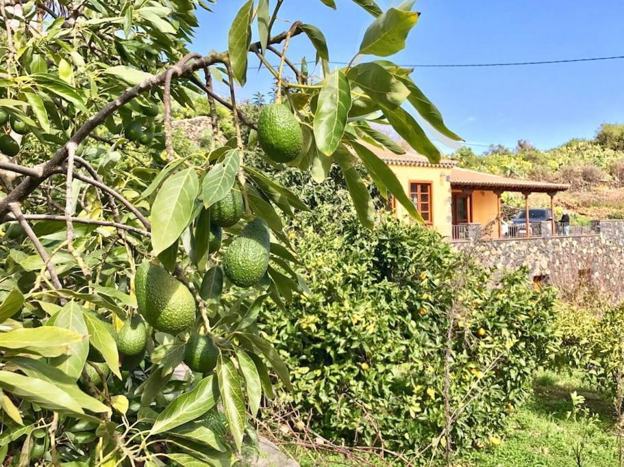 Willa Rustic House La Montana Breña Baja Zewnętrze zdjęcie